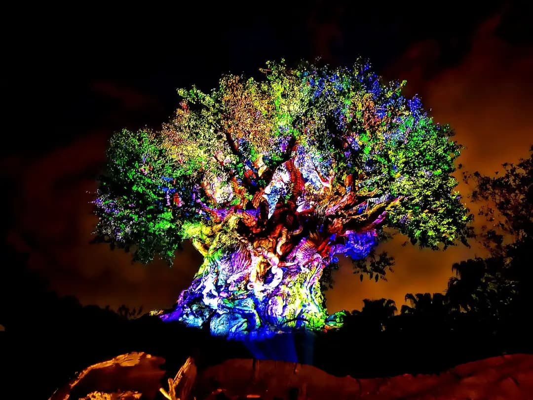Tree of Life Awakenings