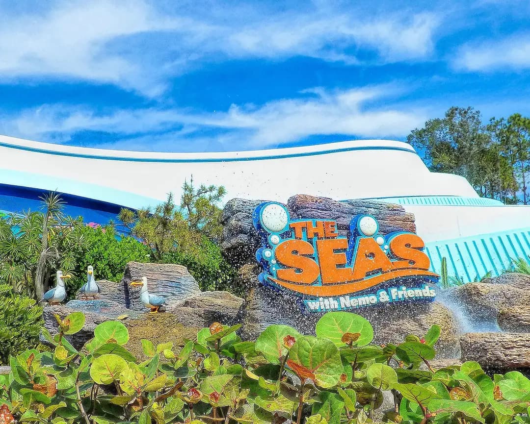 The Seas with Nemo & Friends