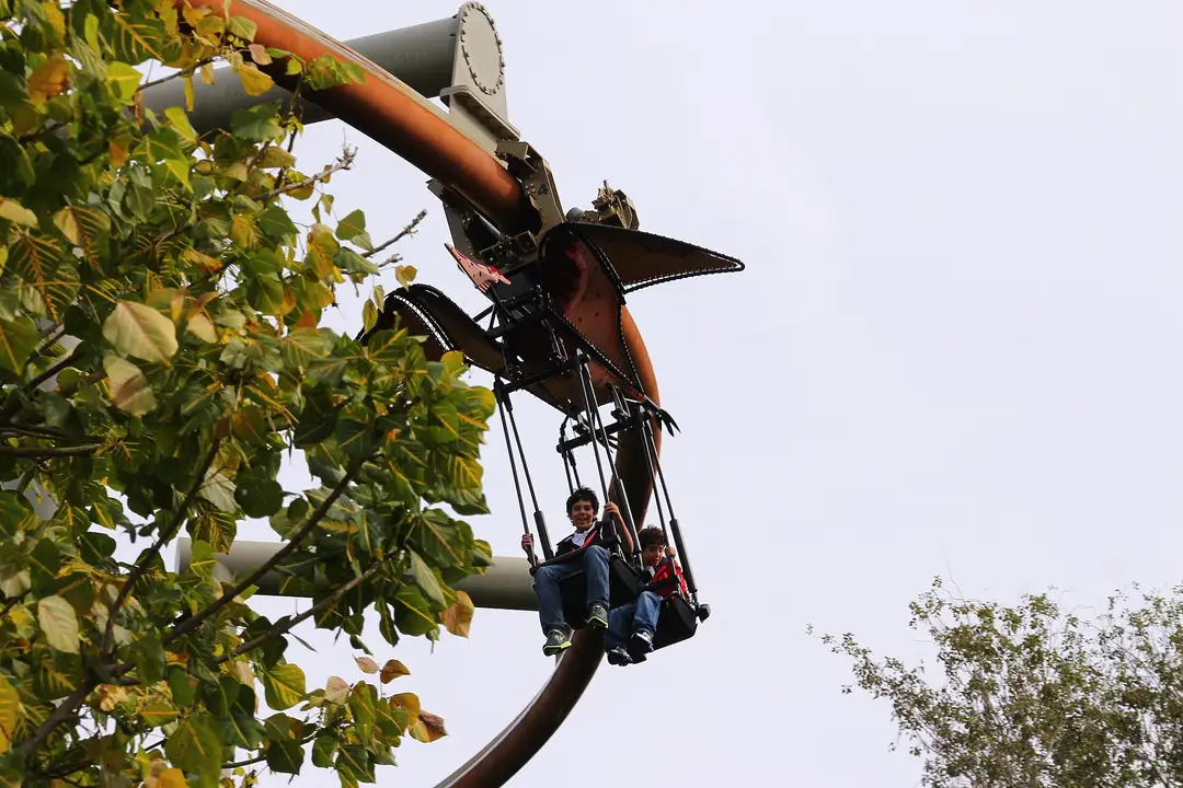 Pteranodon Flyers