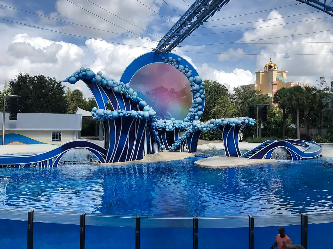 Dolphin Adventures
