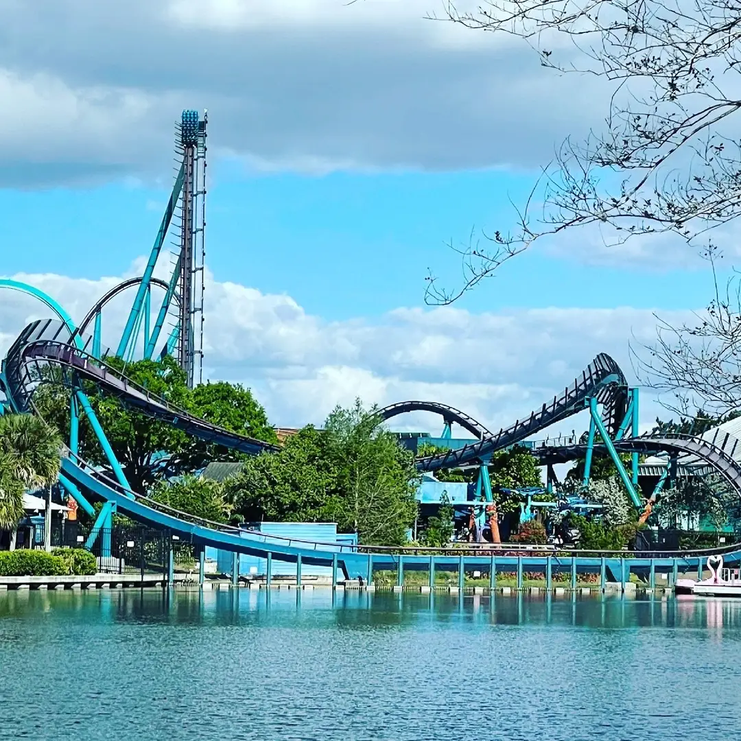Mako