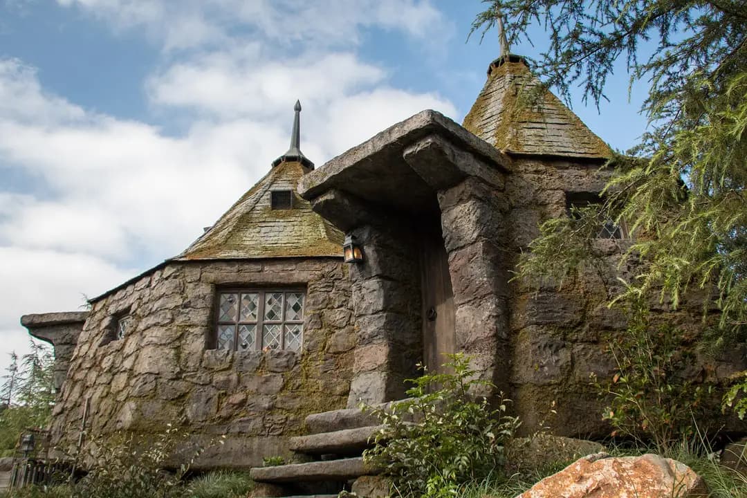 Flight of the Hippogriff